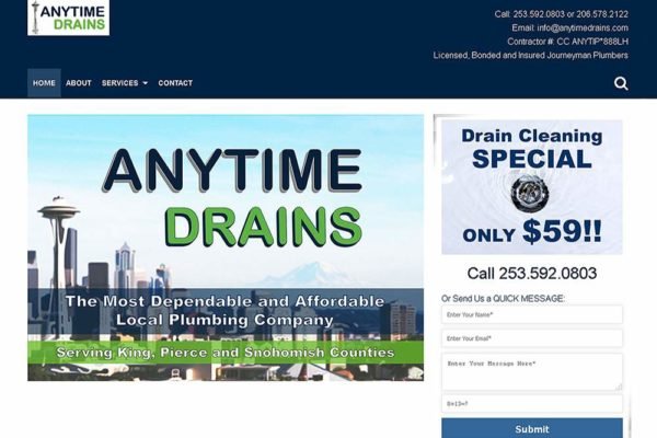 anytime-drains-website-head